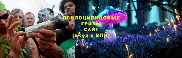 винт Анива